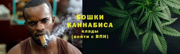 амф Арсеньев