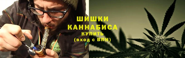 амф Арсеньев