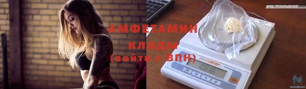 амф Арсеньев